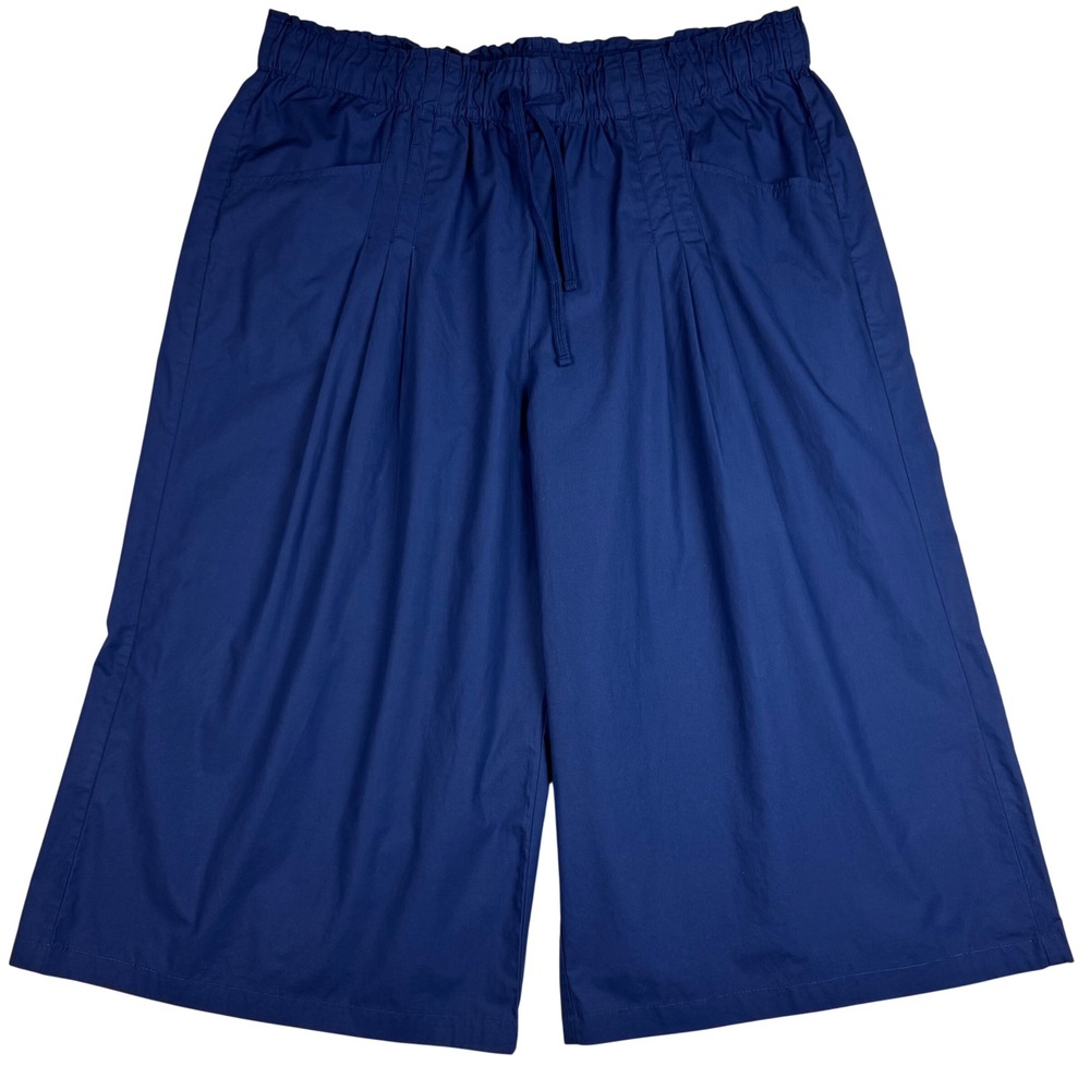 Maeve Anthropologie Culotte Wide Leg Cropped Pants Women 2X Blue Pull On Pleated